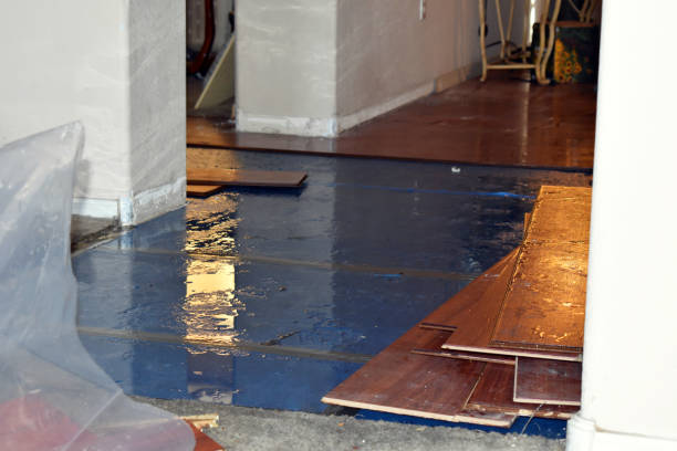 Professional Sewage Cleanup technician working in Olga, FL